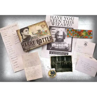 Artefact Harry Potter La Boutique Aux 2 Balais