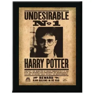 Cadre Undesirable N°1 Plaque Harry Potter La Boutique Aux 2 Balais