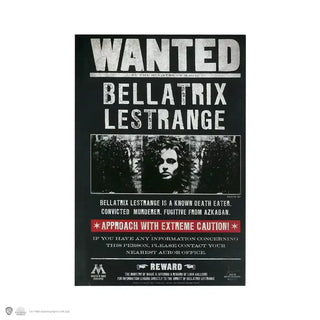 Carnet Souple Bellatrix Lestrange La Boutique Aux 2 Balais