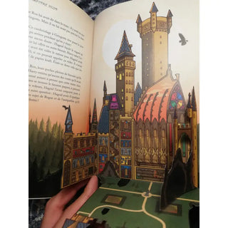 Harry Potter a L’ecole Des Sorciers - Edition Minalima La Boutique Aux 2 Balais