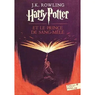 Harry Potter Et Le Prince De Sang-mêlé - Grand Format La Boutique Aux 2 Balais