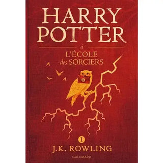 Harry Pottter a L’ecole Des Sorciers - Grand Format La Boutique Aux 2 Balais