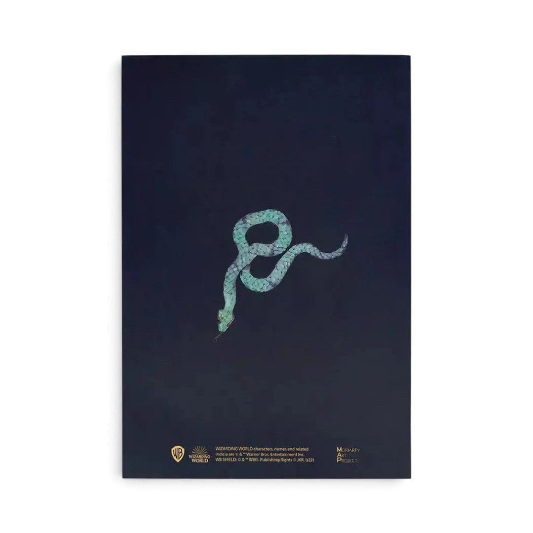 Dos du carnet de notes La boutique Aux 2 Balais Harry Potter Drago Malefoy avec illustration de serpent vert sur fond noir