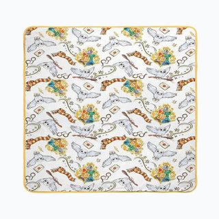 Plaid Le Monde d'Harry Potter Doux - Cocooning -  La boutique Aux 2 Balais