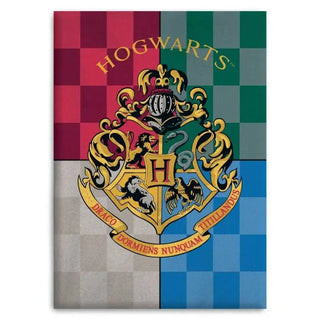 Plaid Polaire Hogwarts 4 Maisons Harry Potter La Boutique Aux 2 Balais