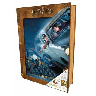 Puzzle 3d Lenticulaire Harry Et Ron Weasley La Boutique Aux 2 Balais