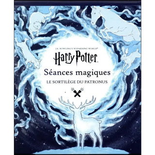 Séances Magiques - Le Sortilège Patronus La Boutique Aux 2 Balais